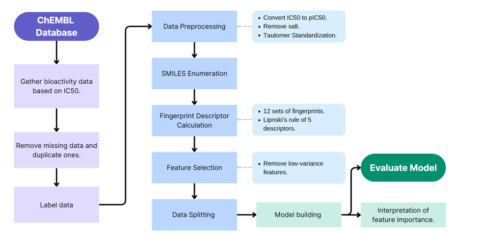 Project workflow